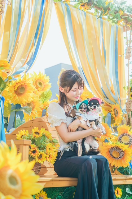 犬と泊まれる宿の選び方｜失敗しないチェックポイント